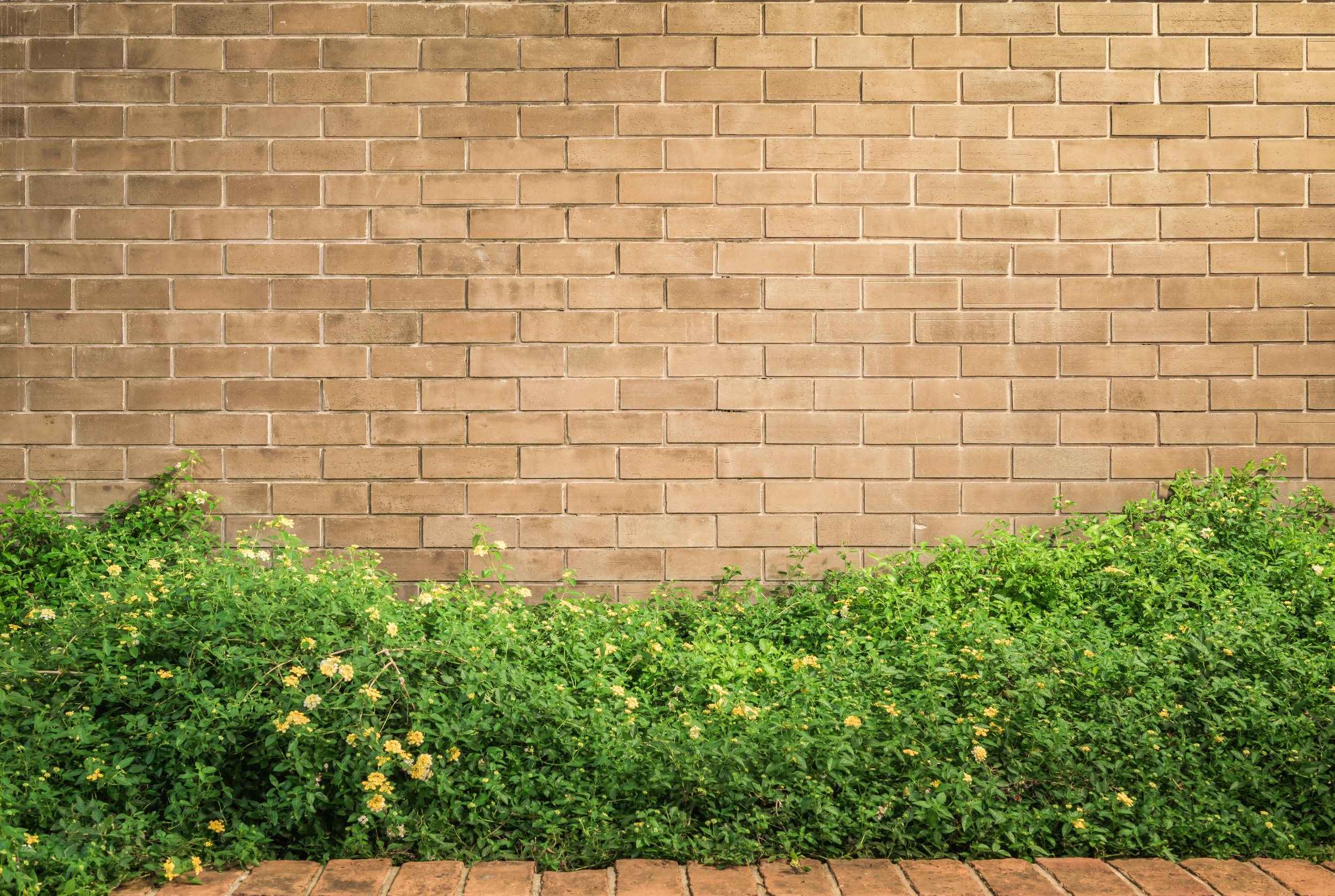 Cuf(f)ley by WA Designs