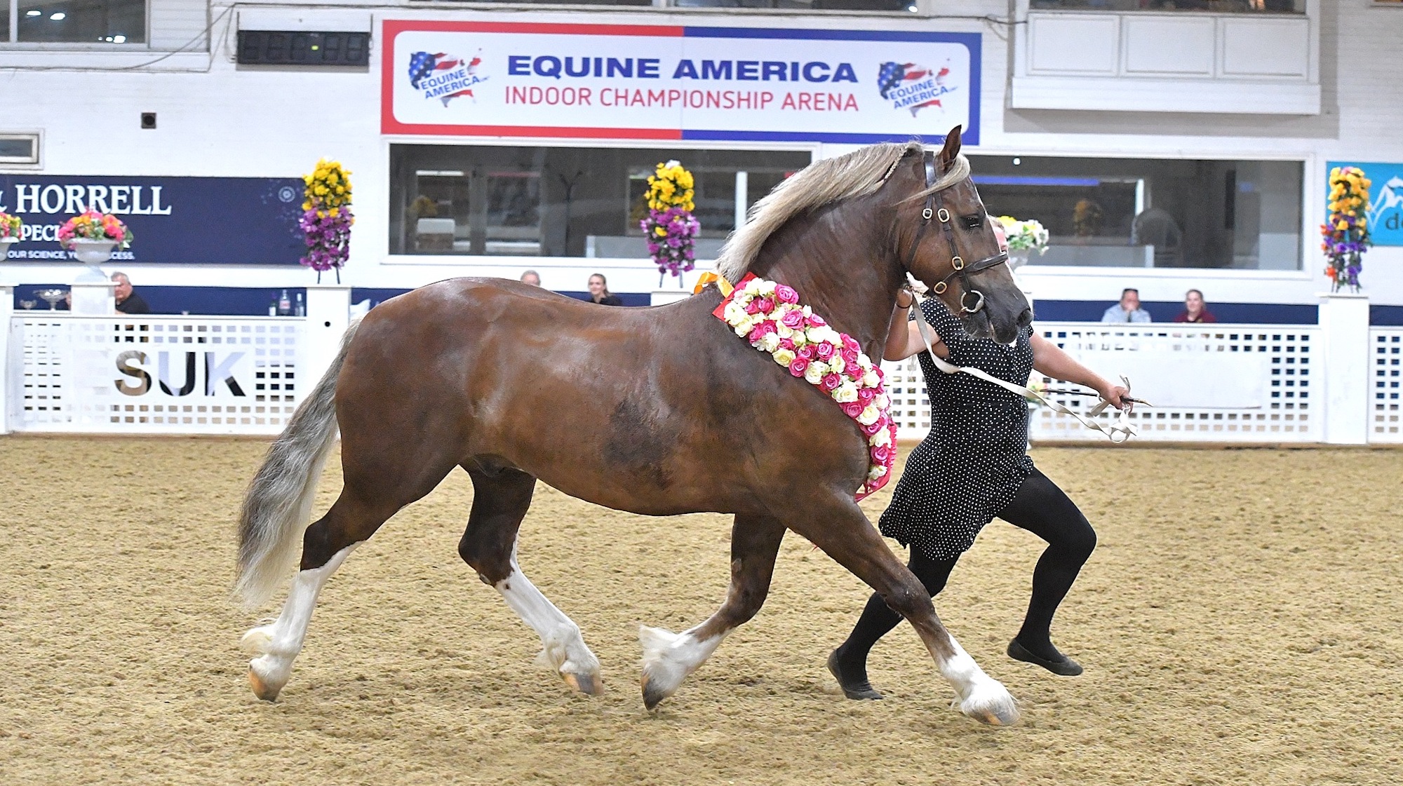 Equine Sports UK
